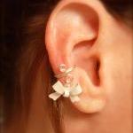 Ear Cuff, Daint..